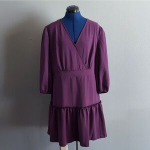 Emma & Michele V-Neck Purple Ruffle Dress Large